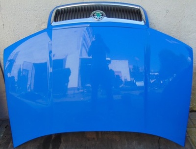 Капот решётка радиатора петли skoda fabia 1 i europa фото №1