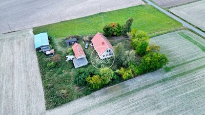 Dom, Dębogóra, Kcynia (gm.), 160 m²