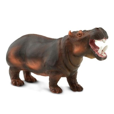 HIPOPOTAM - Hippopotamus - Safari Ltd. - 229029
