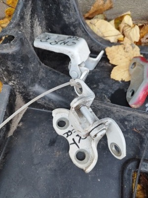 Петли дверь ril задняя toyota ch-r фото №1