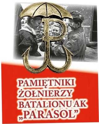 Pamiętniki żołnierzy batalionu AK...