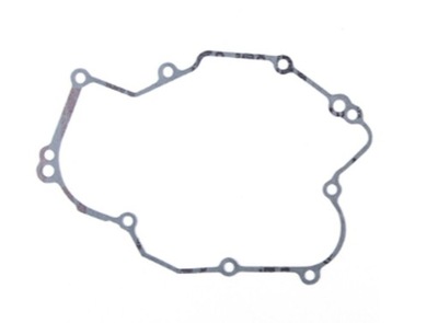 GASKET CAPS ELECTRIC GENERATOR KAWASAKI KLX 450R '08-'21 (OEM: 11061-0271)  