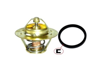 MAGNETI MARELLI THERMOSTAT 