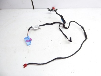 Leon iii 12- жгут дверь перед правая kombi 5d фото №1