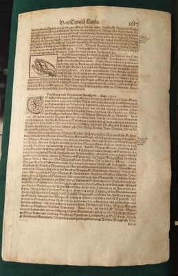 1614 Kosmografia Munster Hochberg 987-988