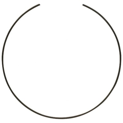 Dana spicer кольцо защитный фото №1