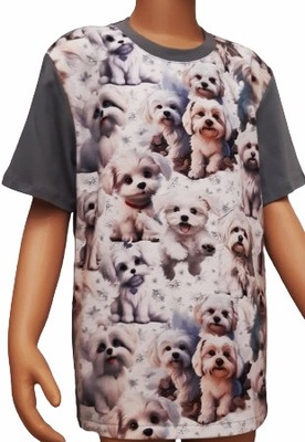 koszulka bawełna PIESKI T-shirt rozmiary od 152