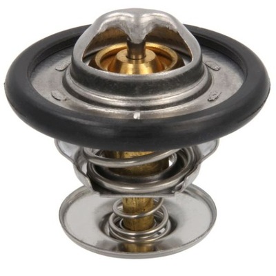 Термостат ford c-max cougar escort v vi focus ii фото №1