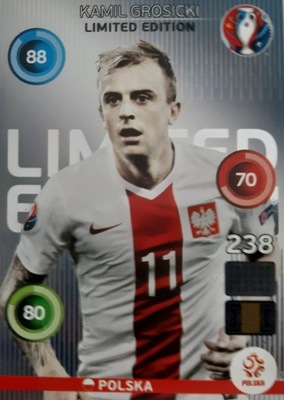 Panini Euro 2016 Kamil Grosicki