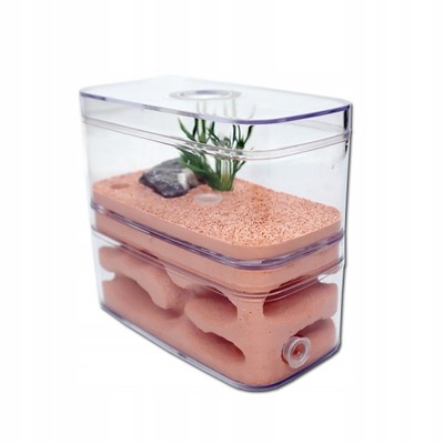 Gniazdo Dla Mrówek Formikarium Terrarium