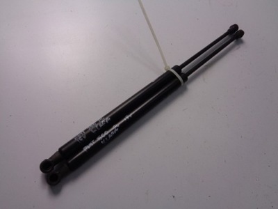 Амортизатори кришки задня fiat 500 lift 20 r фото №1