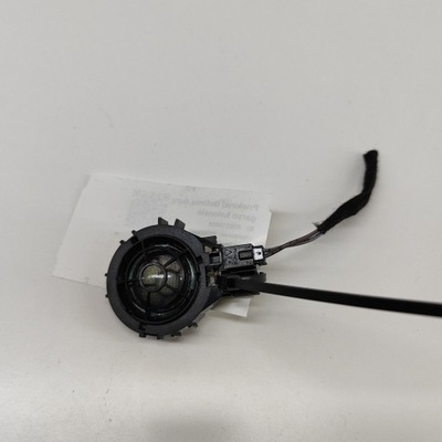 Audi e-tron 2019 права сторона динамік двері передніх фото №1