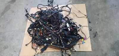 Джгут салону passat b8 usa 2.0 tsi комплектна фото №1