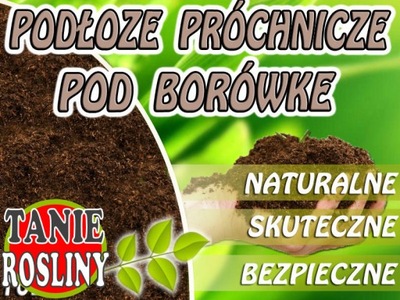 Podłoże Pod BORÓWKĘ 5L