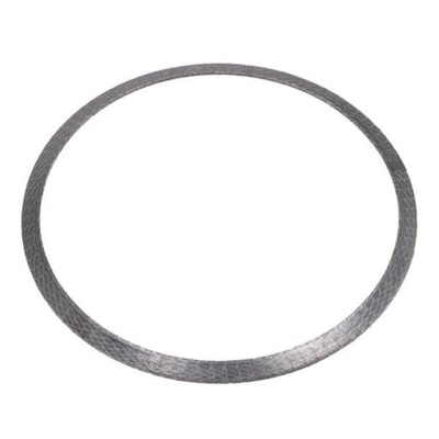 Прокладка фильтра dpf 81.15901.0051 фото №1