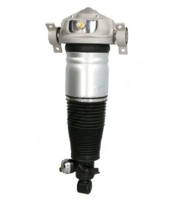 Амортизатор пневматичний mm-as050 japanparts audi фото №1