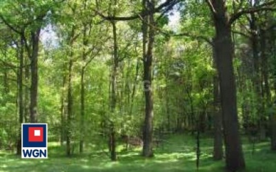 Działka, Pajęczański, 11429 m²