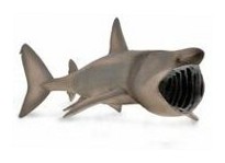 Długoszpar XL Collecta