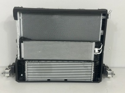 Bmw x4 g02 2023 радіатор wody фото №1