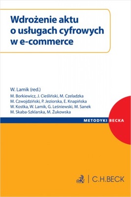 Wdrożenie aktu o usługach cyfrowych w e-commerce