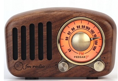 Feegar RETRO Radio kuchenne Bluetooth MicroSD 10h