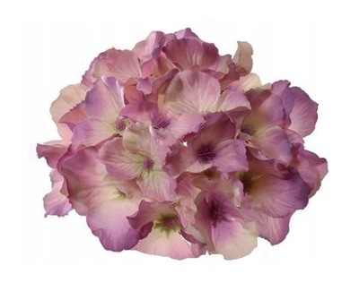 HORTENSJA kwiat główka stroik PUDROWY FIOLET 18 cm