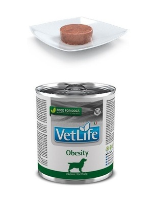 Farmina Vet Life Dog Obesity 300g