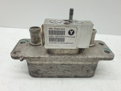 Осушувач кондиціонера tesla model s 101954000c фото №1