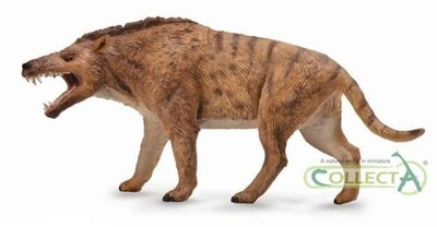 Andrewsarchus