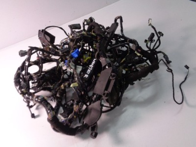 Електропроводка салону ford ecosport mk2 1.0 eco boost 2014 rok фото №1