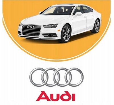 AUDI SERVICE HISTORY BY VIN - COMPLETO CAR HISTORY  