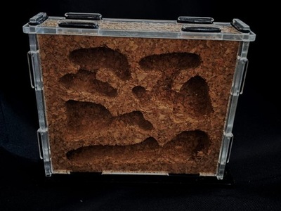 Mrówki Gniazdo akrylowe z wkładem korkowym 10x9x3cm