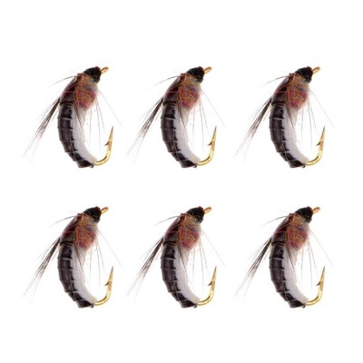 6 sztuk nimfy połowów pstrągów muchy