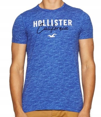 Hollister California T-Shirt Laguna Logo Haft _S