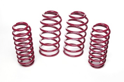 SPRING SPORTS TYPE VOGTLAND MINI CLUBMAN, TYPE N, R55, INCL. UKL-K  