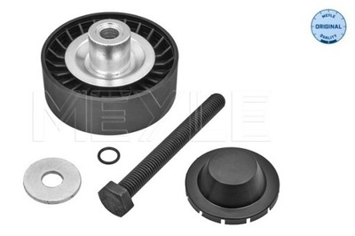 ROLLO PROPULSOR CORREA MULTICOSTAL MEYLE 100 009 0019  