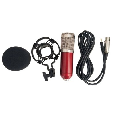 BM-800 profesjonalny mikrofon pojemnościowy zest