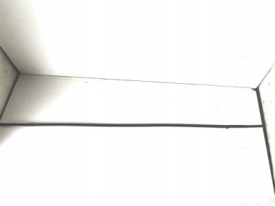 Молдинг дахова права toyota verso 2008-2013 рік фото №1