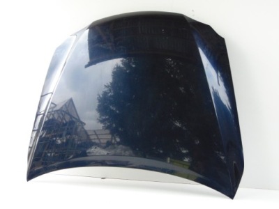 Капот крышка двигателя перед lexus is 2 цвет 8p8 фото №1