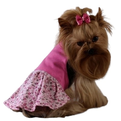 Grande Finale Sukienka różowa ubranko dla psa S