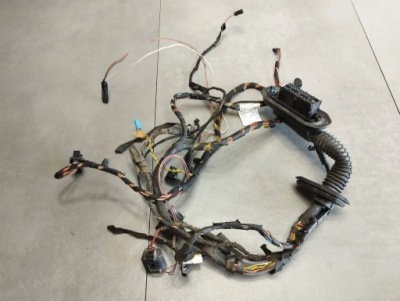 Bmw x6 e71 жгут дверь левая перед 9242070 фото №1