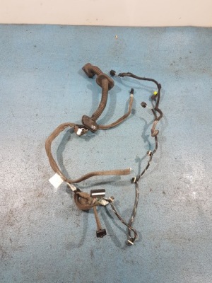 Renault megane iii coupe жгут дверь перед правый 241258243 фото №1