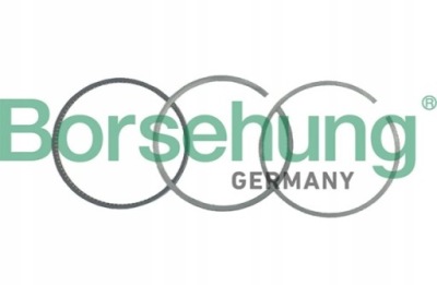 Кольца поршня borsehung do audi a8 d4 3.0 фото №1