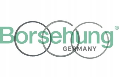 Кільця поршня do audi a8 d3 2.8 fsi 3.2 4.2 фото №1