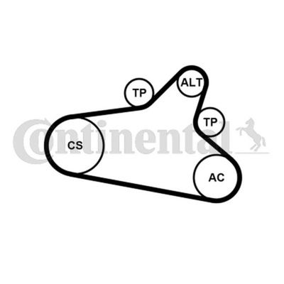 JUEGO CORREA KLINOWEGO WIELOROWKOWEGO CONTINENTAL CTAM 6PK1020 EXTRA K1  