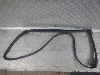 Lexus is is220 is250 ii левая прокладка дверь задняя фото №1