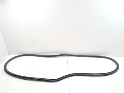 2017 opel insignia b гумовий прокладка двері передніх фото №1