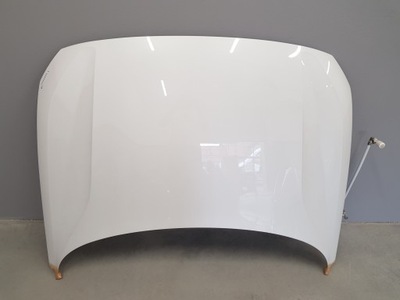 Polestar ii капот фото №1