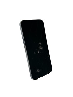 Smartfon Apple iPhone 13 Pro Max A2643 6 GB / 512 GB DE120