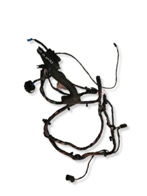 Bmw x5 e70 lift жгут дверь правый задняя keyless 9203115 фото №1